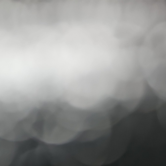 Meet your Posher, Penny - Picture 2 of 2